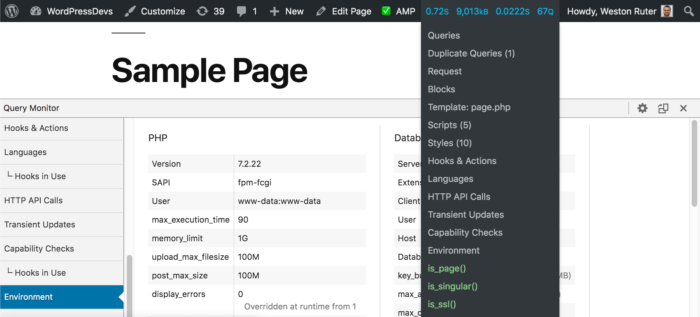 Query Monitor on an AMP page in Dev Mode